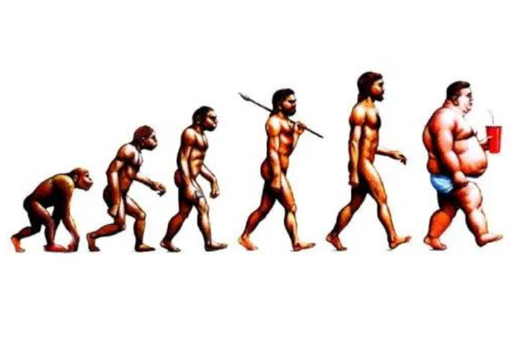 Het carnivoor dieet door de evolutie heen